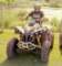 brenon800sportcanam_small.jpg